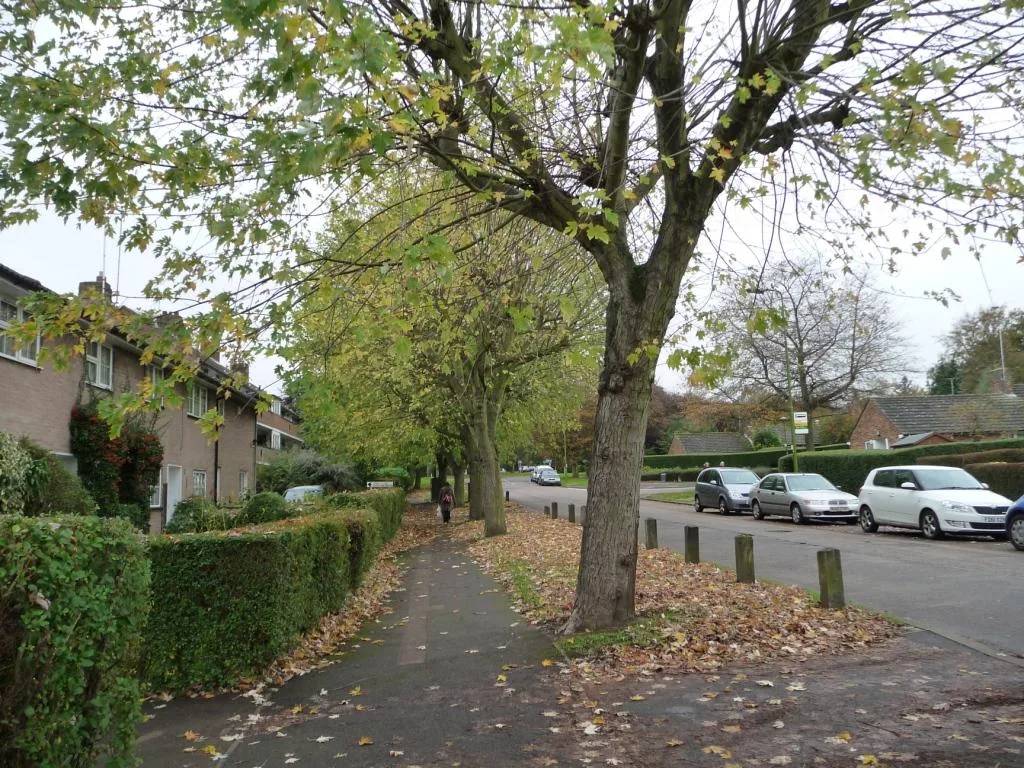 Haldens in Welwyn Garden City, the neighbourhood served by the Moors Walk shopping parade and its car park. The photograph does not show the car park itself
